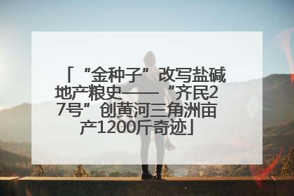 “金种子”改写盐碱地产粮史——“齐民27号”创黄河三角洲亩产1200斤奇迹